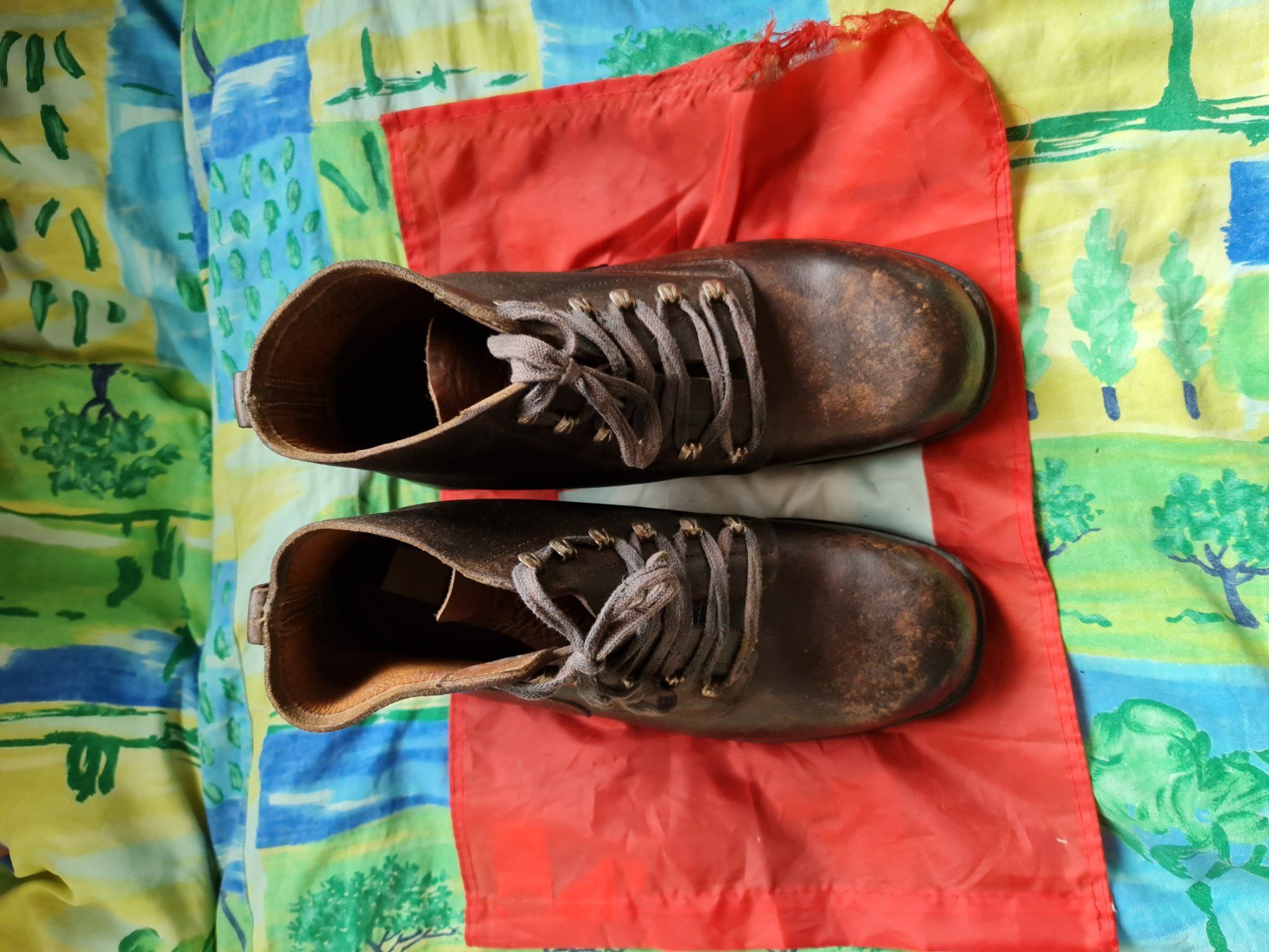 Schweizer Armee Scarpe da uomo: Gebirgsschuhe – Usato da Sins venduto da tomeks 3
