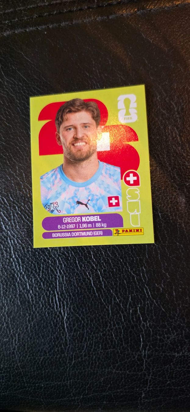Panini Carte collezionabili: Panini Bild kabel SUI 2 – Usato da Basel venduto da astra2011