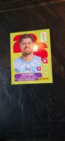 Panini Bild kabel SUI 2