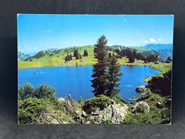 am Seebergsee 1831 m ü.M. Diemtigtal, Berner Oberland