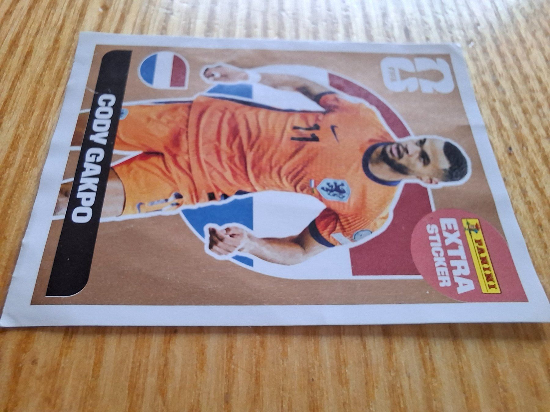 Panini Carte collezionabili: Panini WM 2026 Extra Sticker Cody Gapko – Nuovo (secondo la descrizione) da Winterthur venduto da Tobolog 1