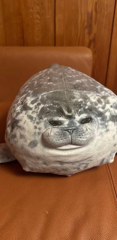 Giocattoli: Chubby Blob Seal Pillow Plüschtier – Usato da Bremgarten b. Bern venduto da Zamboli65