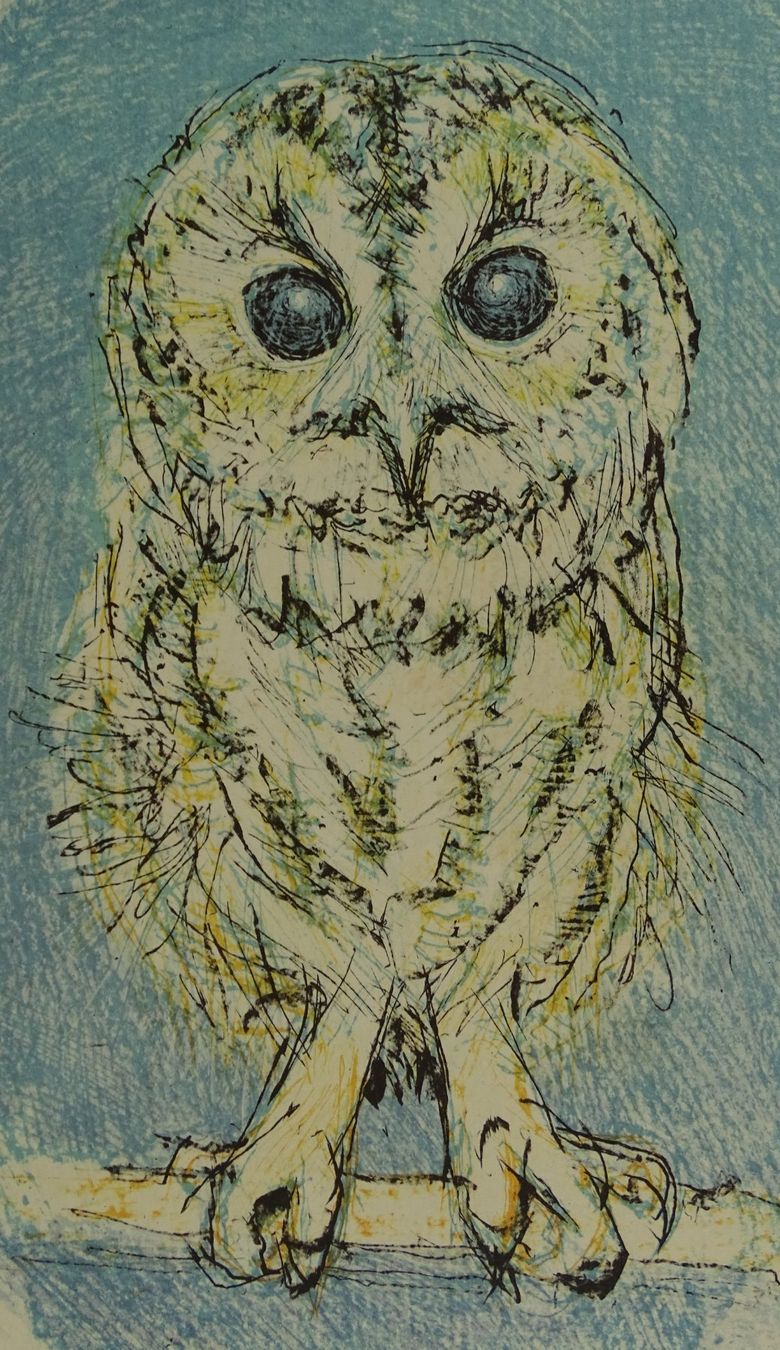 Grafiken & Lithographien: FRITZ HUG: JUNGER UHU, KAUZ, EULE, KÜKEN, FARBLITHOGRAPHIE – Gebraucht aus Grüningen von Kartensammler 4