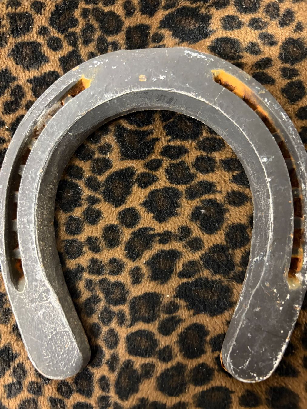Autres accessoires pour animaux: altes Hufeisen – D'occasion à Muri b. Bern par Salobre