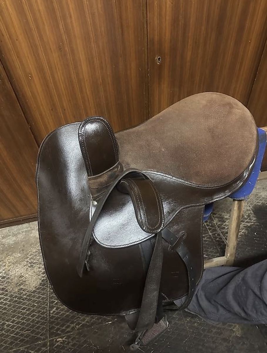 Selle & Accessori: Brauner Damensattel , Top Zustand, – Usato da Recherswil venduto da lda_9hcr 1