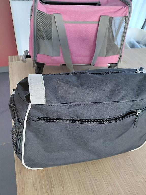 Borse: Hunde Trage Tasche – Usato da Grosswangen venduto da tschick 1
