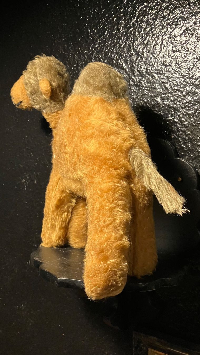 Steiff Giocattoli: Peluche ancienne Kamel Dromadaire Steiff (?) – Usato da St-Cierges venduto da LeRegain 2