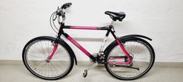 Knobel City Velo 26" Gratis Lieferung
