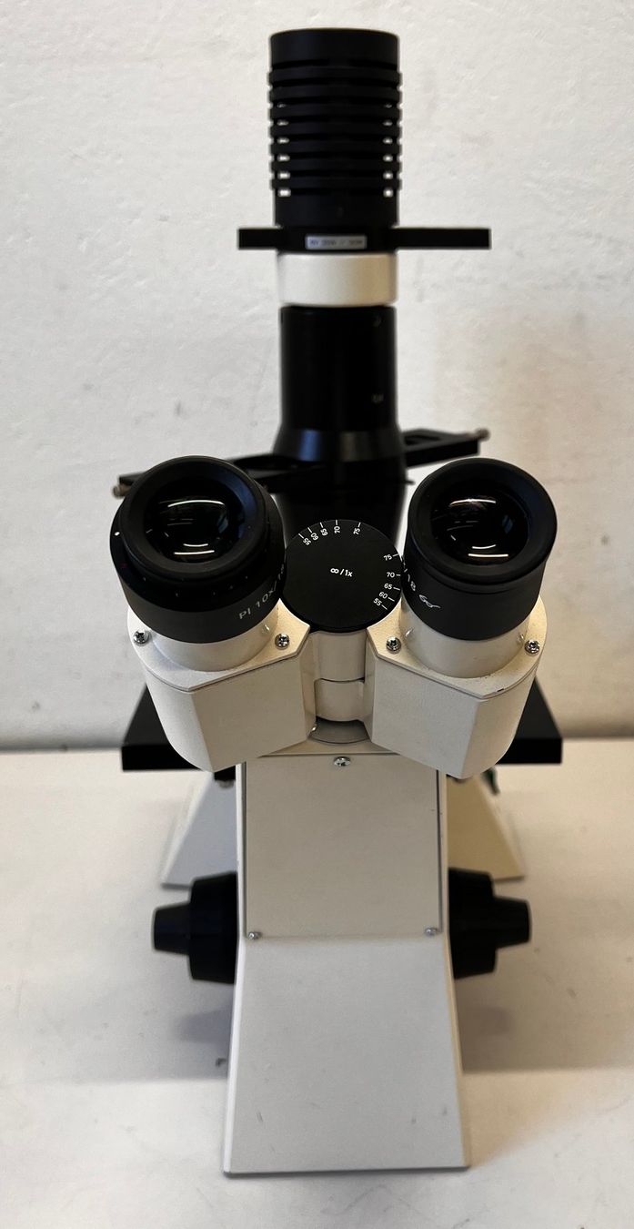 Zeiss Microscopi: Zeiss Axiovert 25 Invert Mikroskop – Usato da Niederdorf venduto da LeptonAG_Labor 4