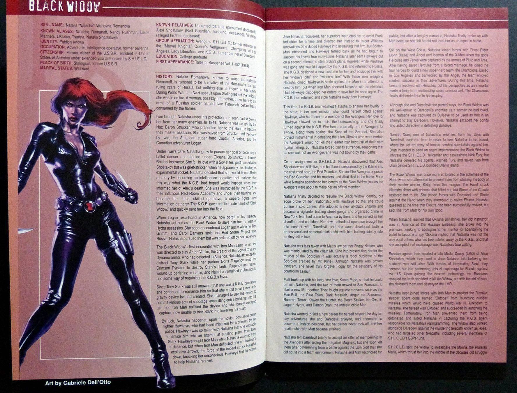 Fumetti: DAREDEVIL SPIDER-MAN HULK OFFICIAL HANDBOOK MARVEL 2004 – Usato da Lugano venduto da YouWantUS 3