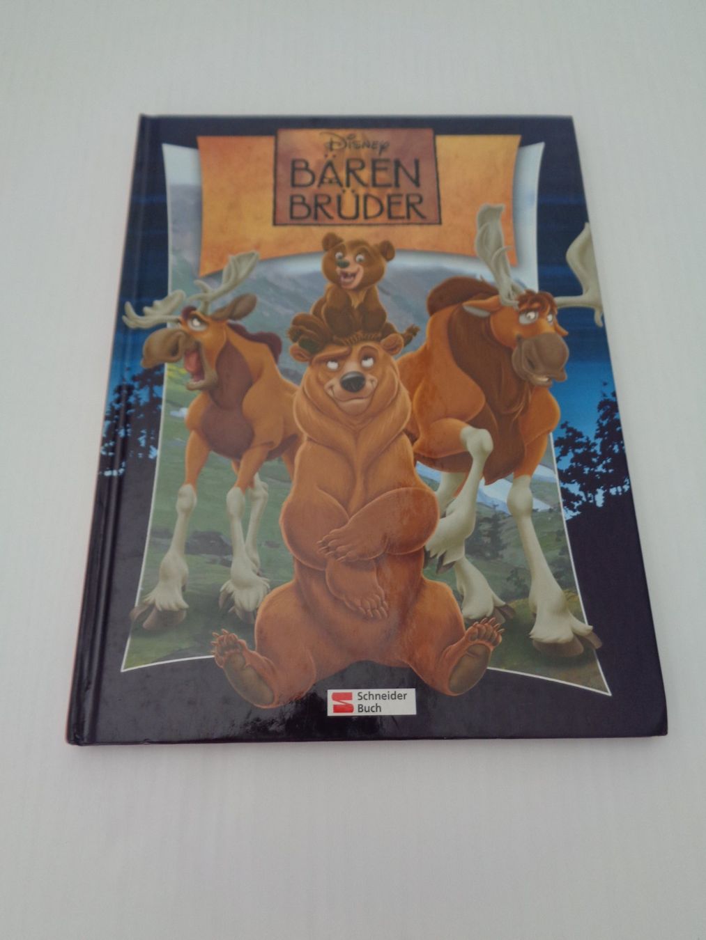 Libri: Disney - Bären Brüder – Usato da Chur venduto da Oregano1