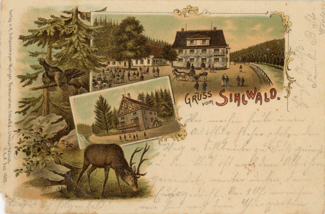 Cartoline postali: Sihlwald  ZH     -   LITHO      um 1899 – Usato da Brig venduto da Valcards54