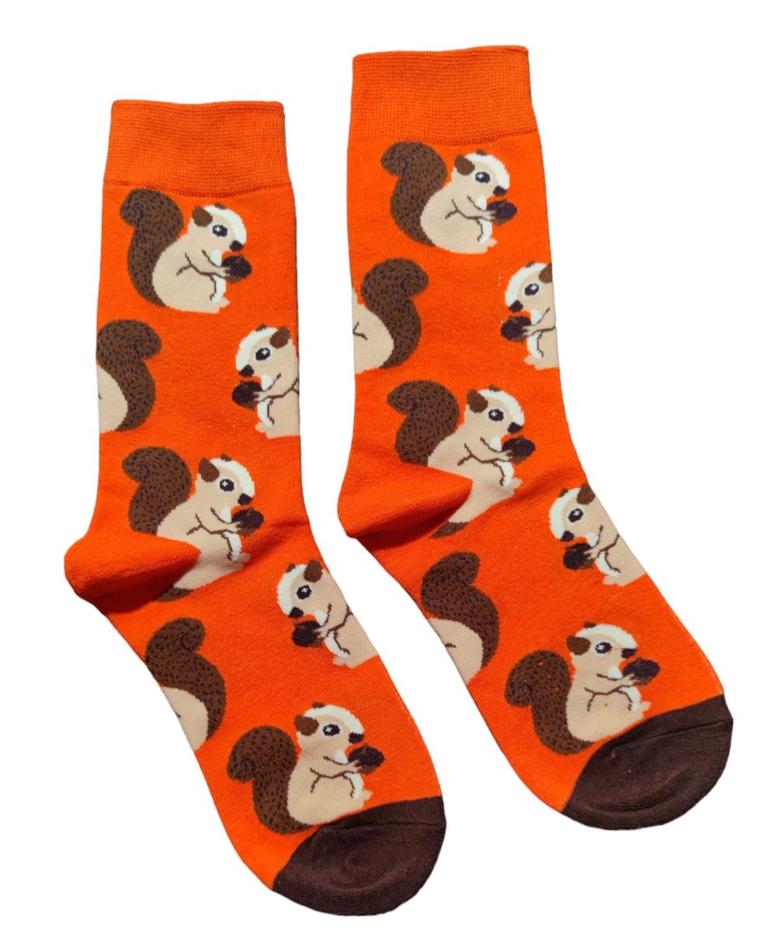 Calze: Socken Eichhörnchen / Squirrel – Nuovo e nell'imballaggio originale da Zürich venduto da amysmith
