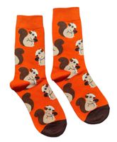 Socken Eichhörnchen / Squirrel