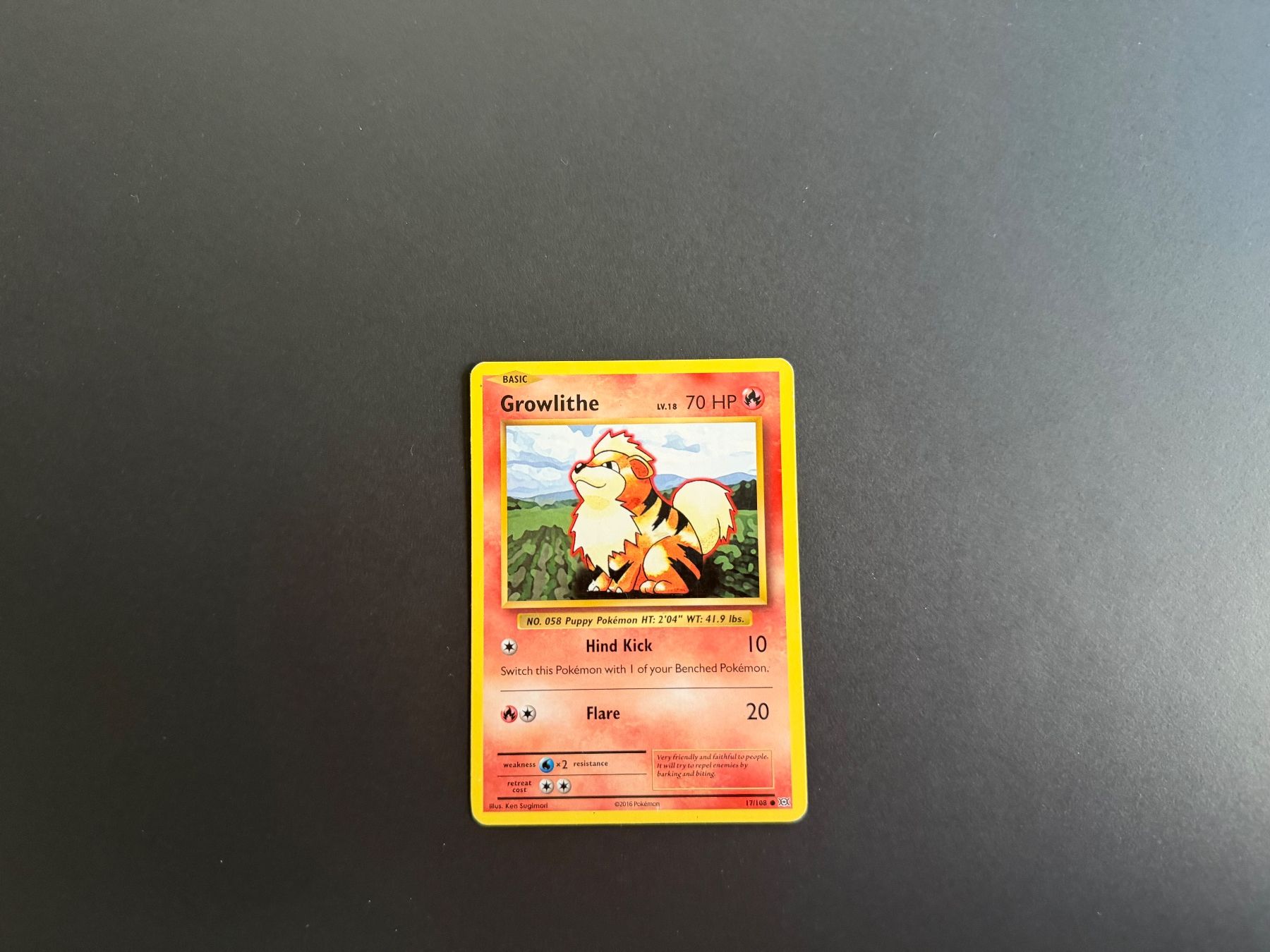 Pokémon Cartes à collectionner: Growlith 14/108 – D'occasion à Zürich par mountainwizard00