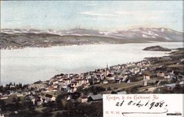 Horgen ZH // Halbinsel Au 1908 // Sommer