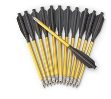 12er Pack Bear Archery Bolzen