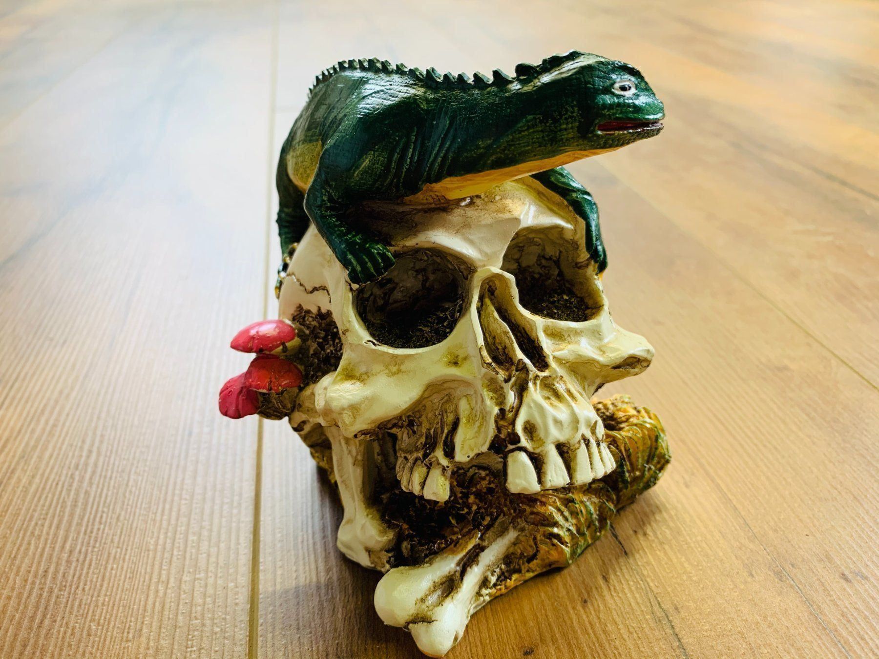 Sculture & Statue: Totenschädel Schädel SKULL Eidechse 11cm NEU – Nuovo e nell'imballaggio originale da Bergdietikon venduto da shopAgent 5