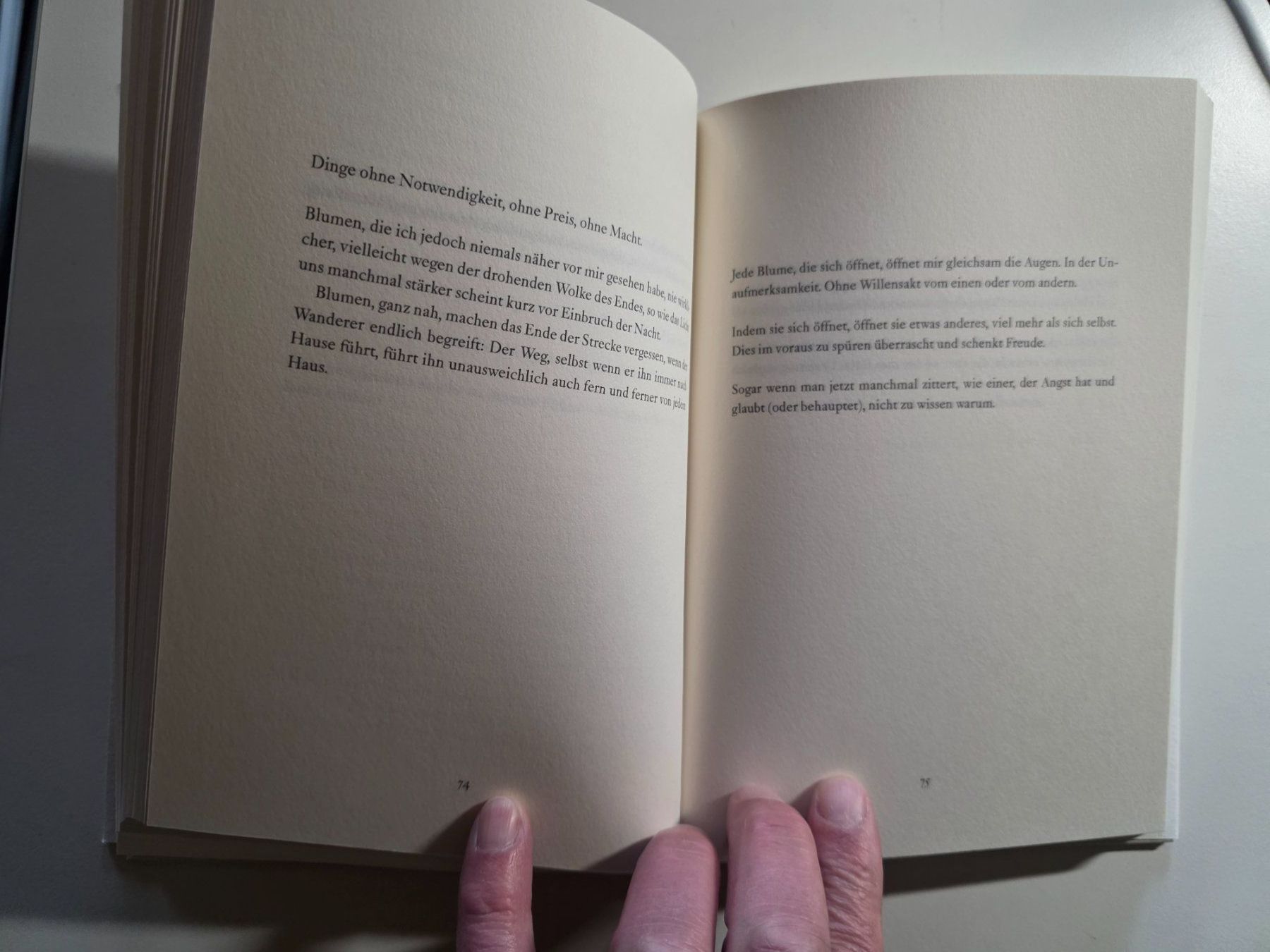 Libri: Philippe Jaccottet - Die wenigen Geräusche - 2020 – Nuovo (secondo la descrizione) da Walterswil BE venduto da Lonitti 2