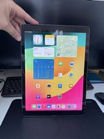 iPad Pro 12.9" (2. Gen) 256GB