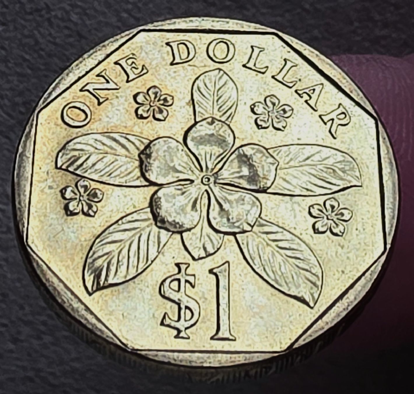 Tutti le monete: SINGAPUR 1 DOLLAR 1990 – Usato da winterthur venduto da CoinPassion