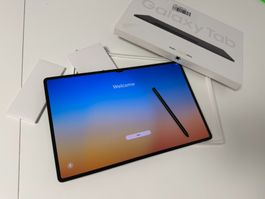 Samsung Galaxy Tab S9 Ultra (WiFi, 14.60", 1000 GB)
