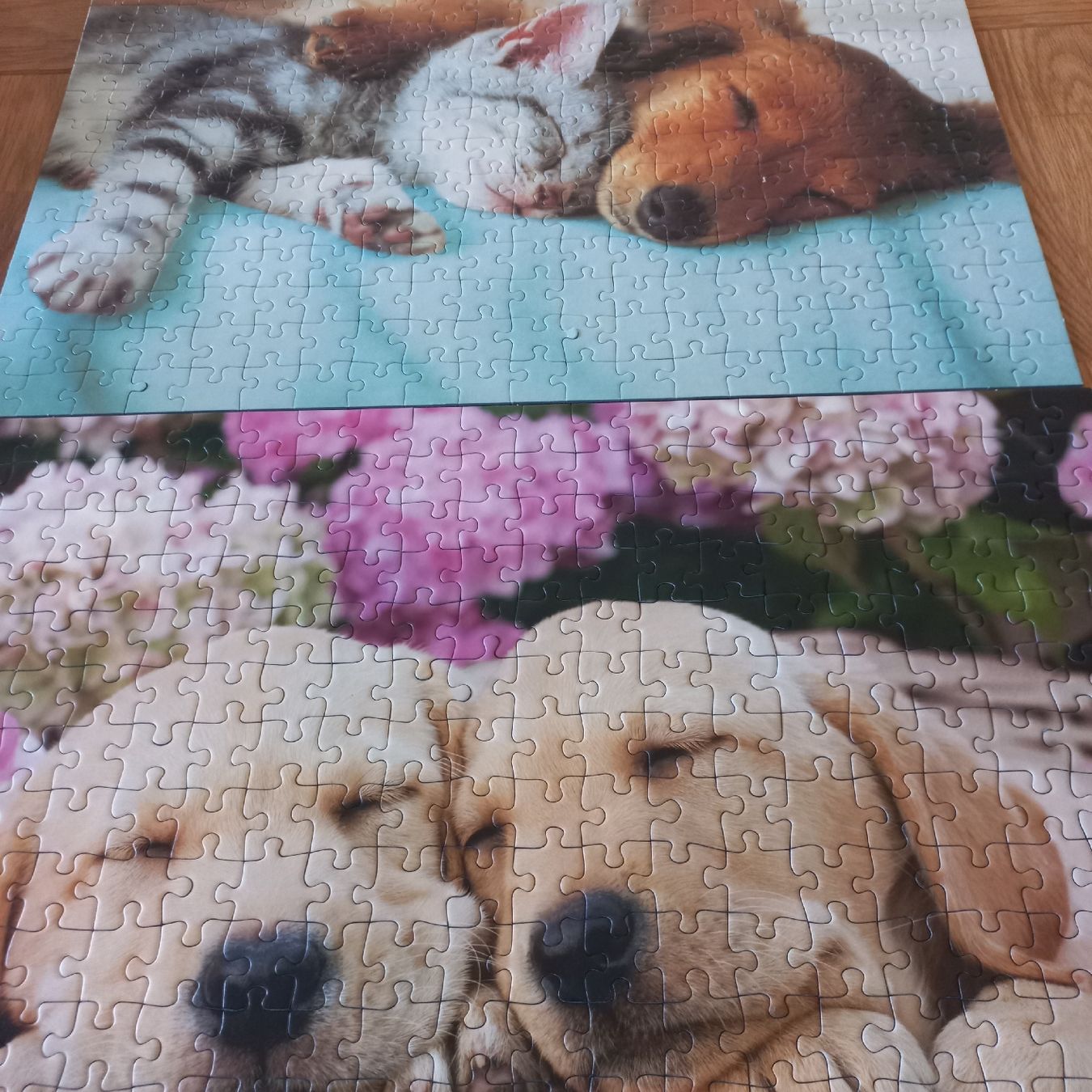 Ravensburger Puzzle: Puzzle Ravensburger 2× 300 pièces  – Nuovo (secondo la descrizione) da Dompierre FR venduto da fat_xth5 2
