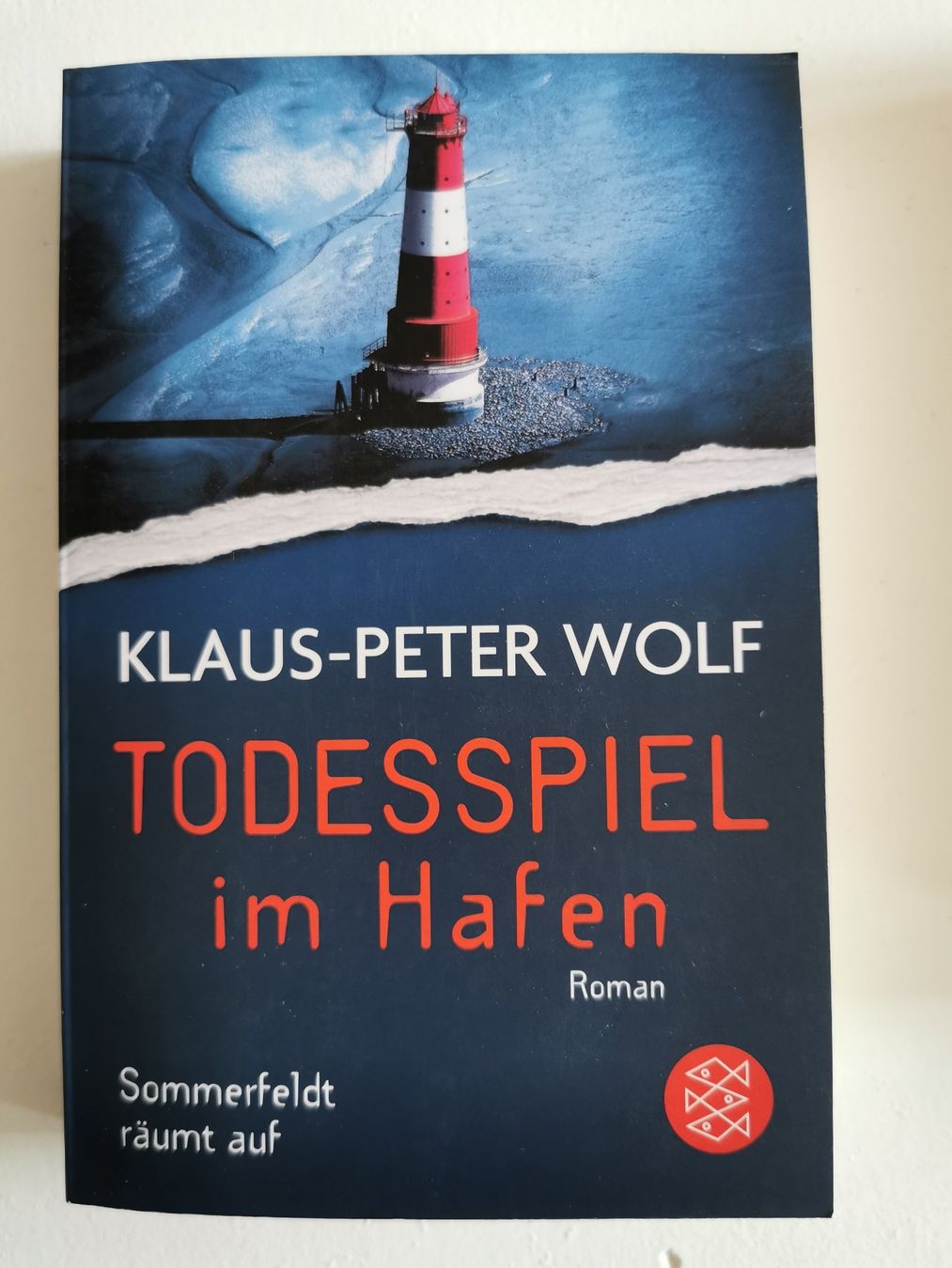 Libri: Krimi-Bundle 1. - 5 Bücher – Usato da bern venduto da jeannie_06 4