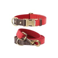 Hundehalsband mit Leine Set – Verstellbar, Rot, Grösse S