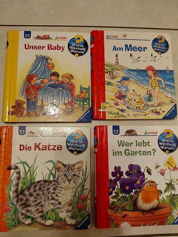 Libri: Wieso weshalb warum – Usato da Safenwil venduto da RockyFlocky
