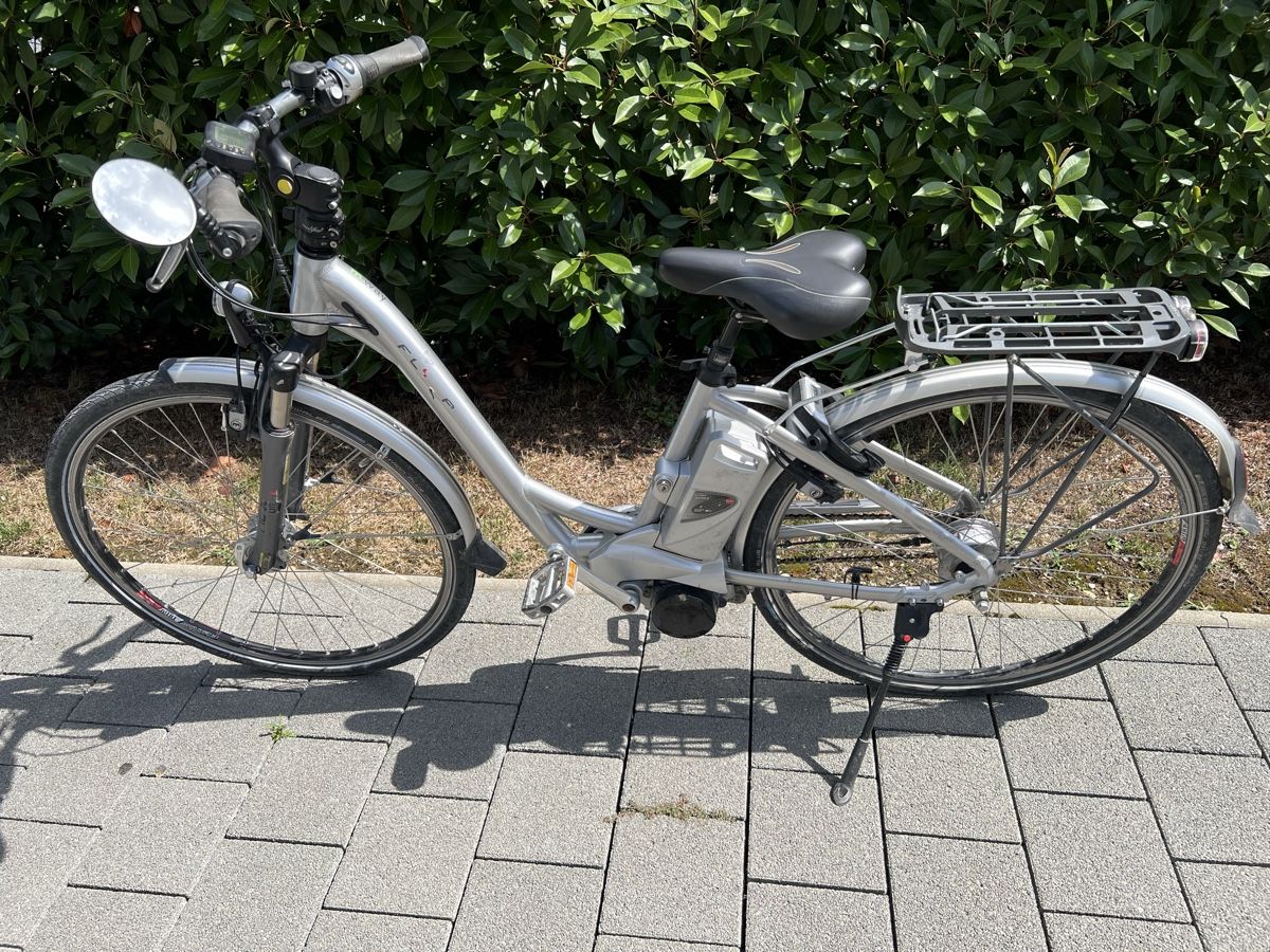 Flyer Biciclette: Flyer e-bike 36V Deluxe  – Usato da Derendingen venduto da AABB 2