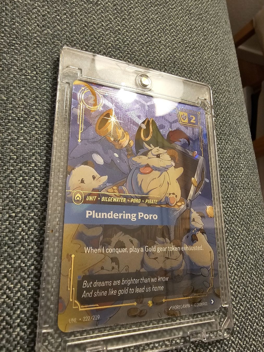 Livres: Plundering Poro Riftbound unleashed  – Neuf (Voir description) à Baden par mtw_6tq6