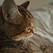 Profile image of NinoJoy5