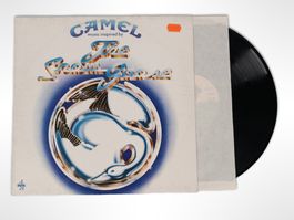 Vinyl Camel - The Snow Goose