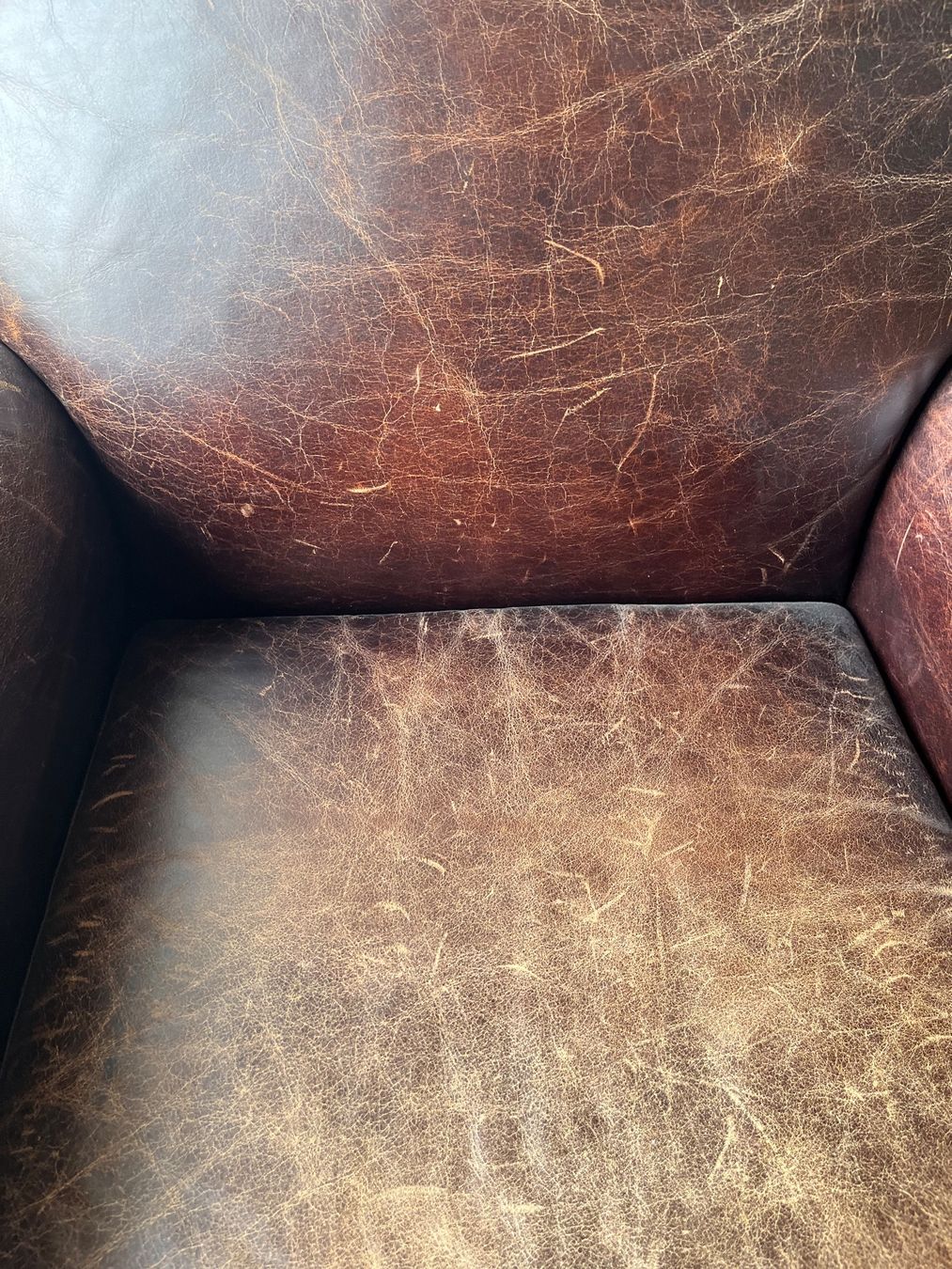 Poltrone: Ledersessel – Usato da Grafenried venduto da Stellare 4