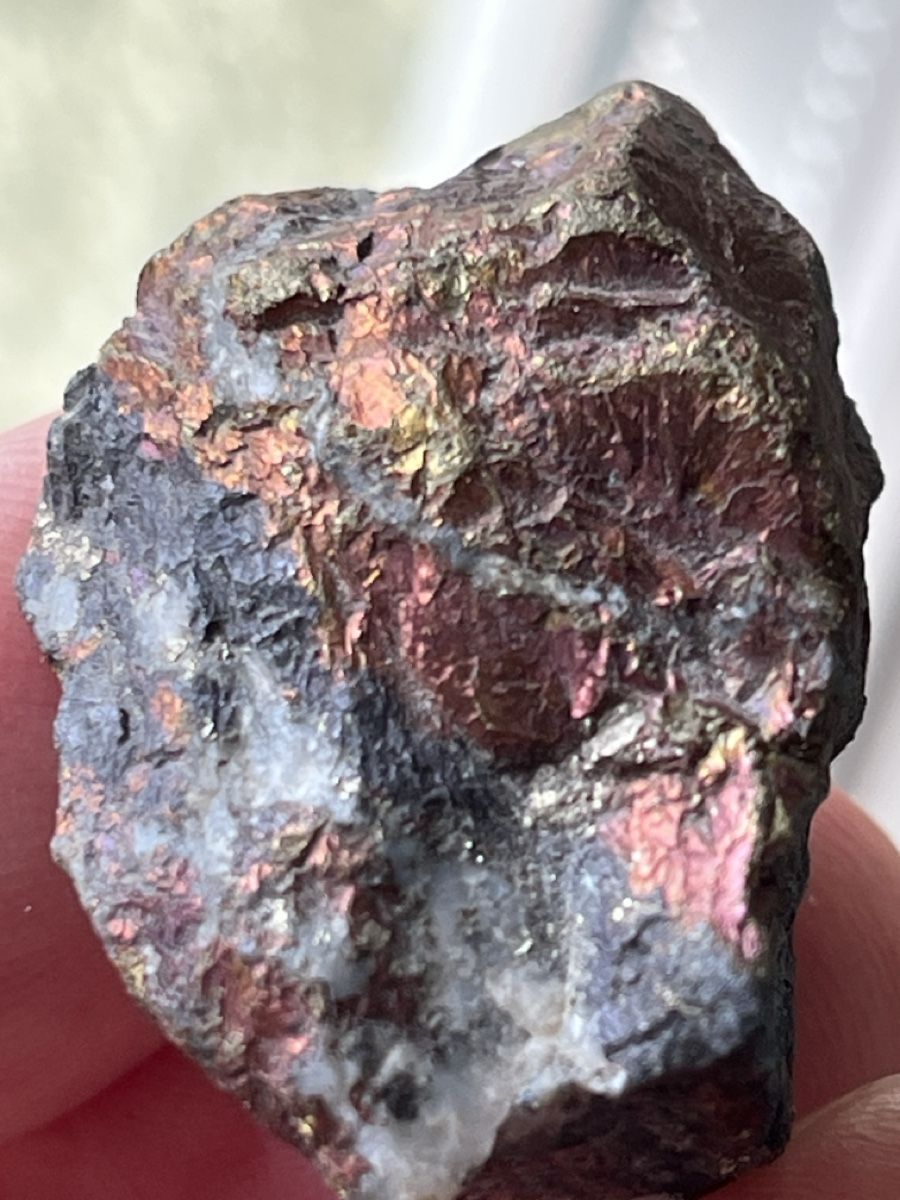 Mineralien & Heilsteine: Top! Bornite „Bezeichnung Buntkupferkies“ aus Nevada, USA – Gebraucht aus Uster von Arrayo