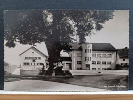 No, 951, AG, Schulhaus Leutwil noch mit Linde, 1950