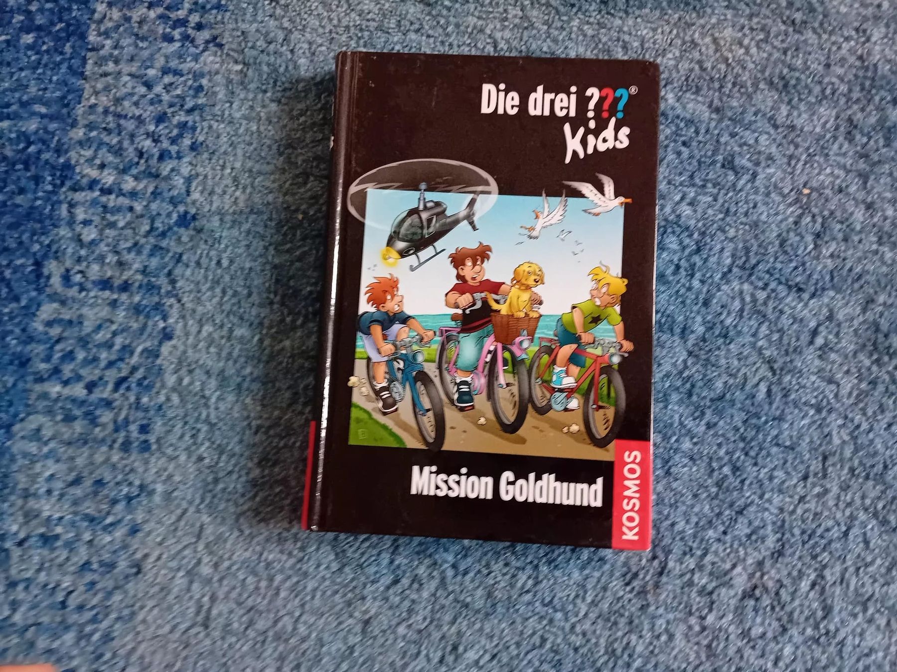 Libri: Die drei ??? Kids Bucher – Usato da Veltheim AG venduto da Andreavonder 1