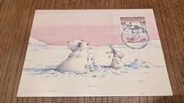 2008 FDC Maximumkarte Der kleine Eisbär