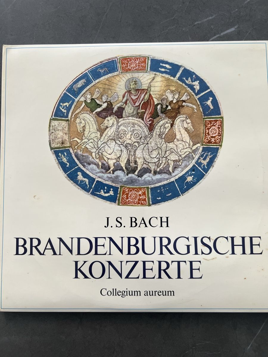 Dischi in vinile: Musik platte – Usato da Birr venduto da urdorf1111