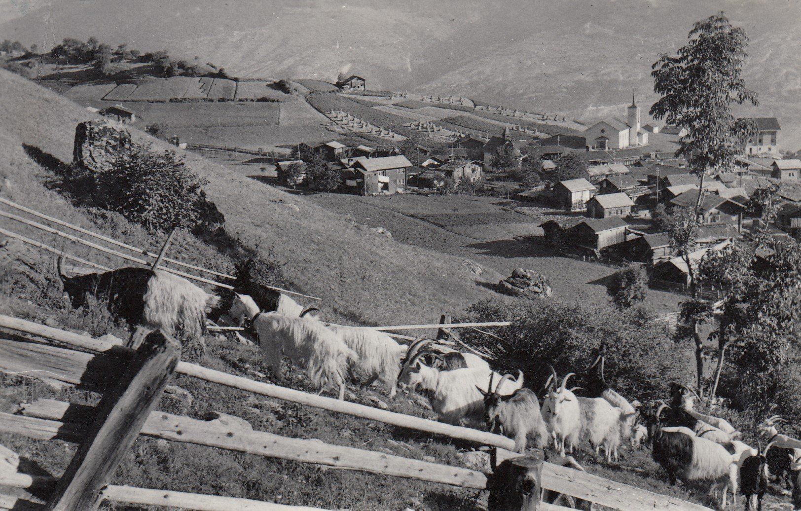 Cartoline postali: Oberems   VS  -    3  diverse Ansichtskarten – Usato da Brig venduto da Valcards54
