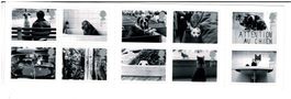UK Heftchen Katzen Hunde **
