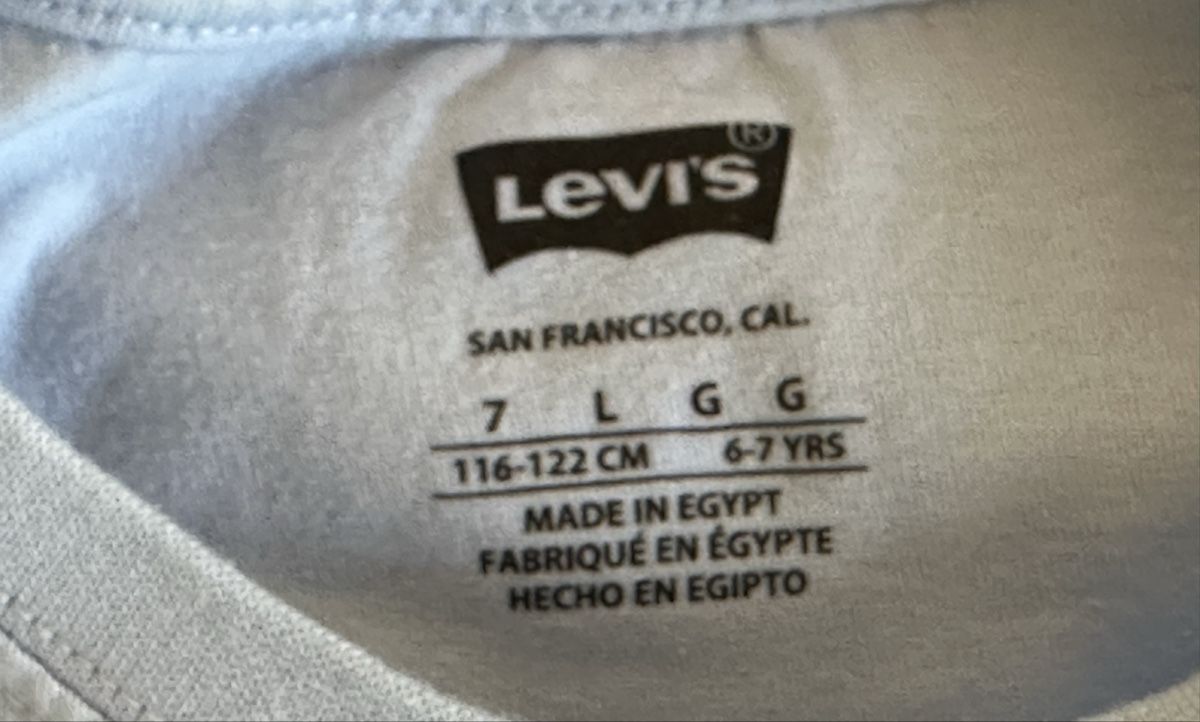 Levi's Camicie, T-shirt & Polo: T-shirt in cotone Levi’s – Usato da Castel San Pietro venduto da Moregi 2