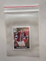 PANINI EXTRA Sticker GOLD WM 2026 Erling Haaland
