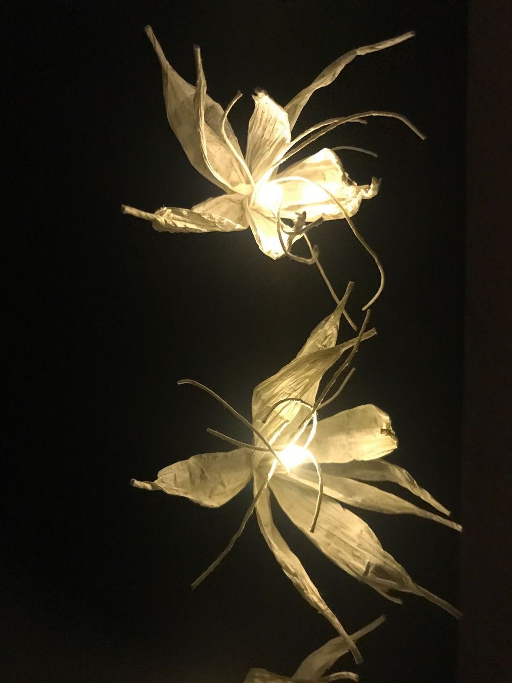 Foto & Immagini: Leinwand mit Papierblüte beleuchtet – Nuovo (secondo la descrizione) da Mels venduto da man_w8ky 5