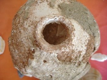 Ciotole: Schüssel für Kerze – Nuovo e nell'imballaggio originale da Suhr venduto da Maxmusic2308 2