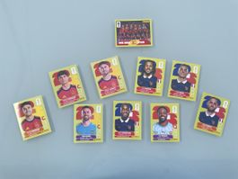 Stickers panini 
