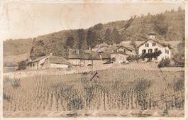 Vinzel
