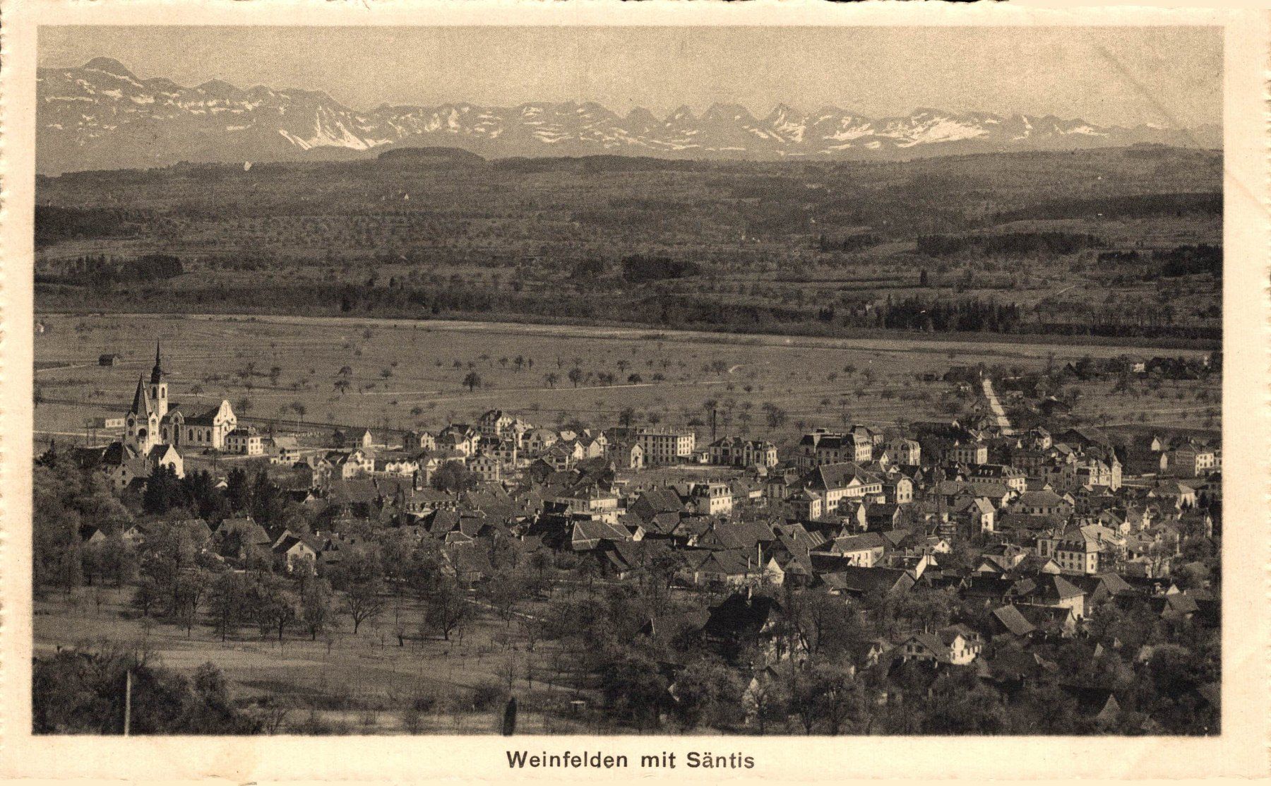 Cartes postales: Weinfelden mit Säntis – D'occasion à Bronschhofen par Astore