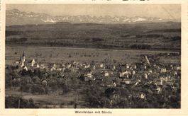 Weinfelden mit Säntis